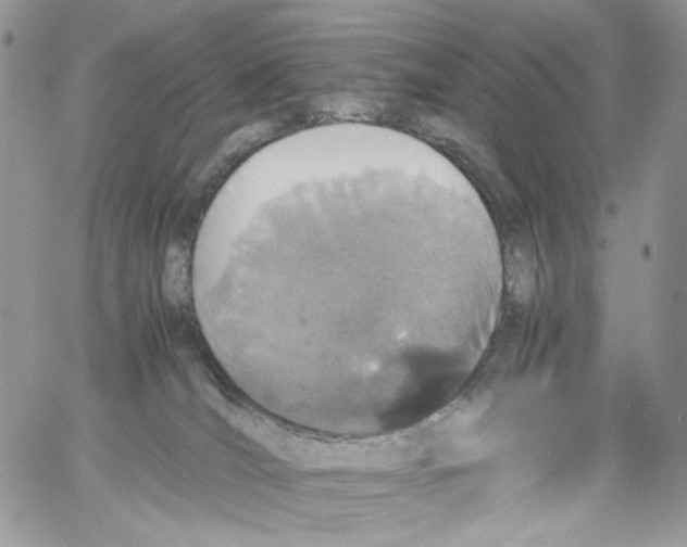 X0000061740036200512302223