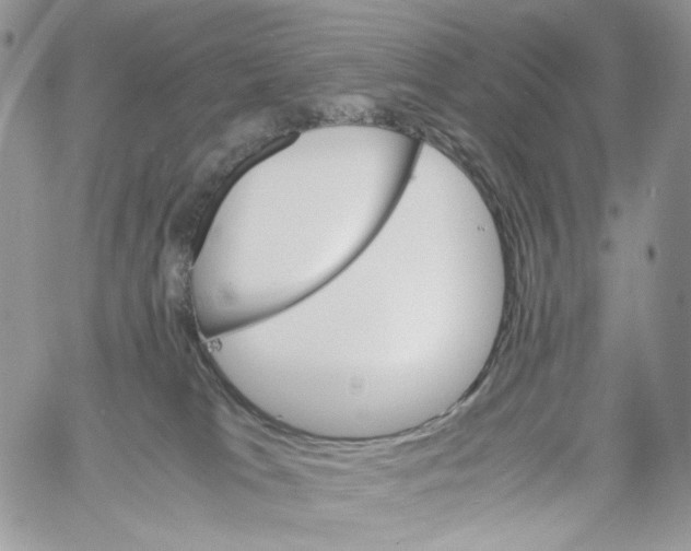 X0000061740037200512302223