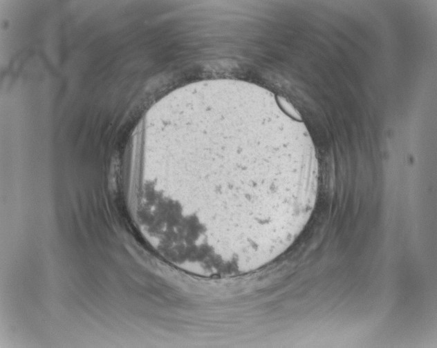 X0000061740038200512302223