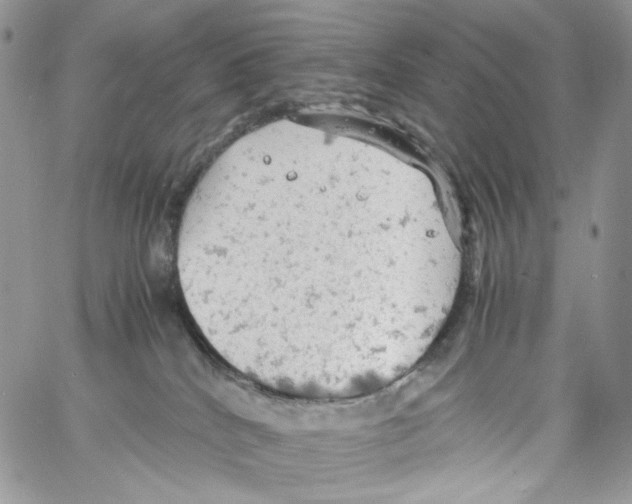 X0000061740040200512302223