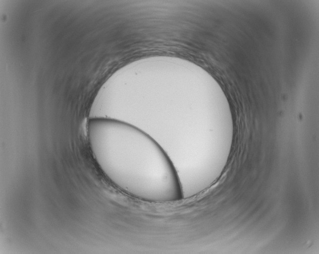 X0000061740041200512302223