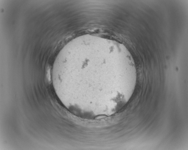 X0000061740042200512302223