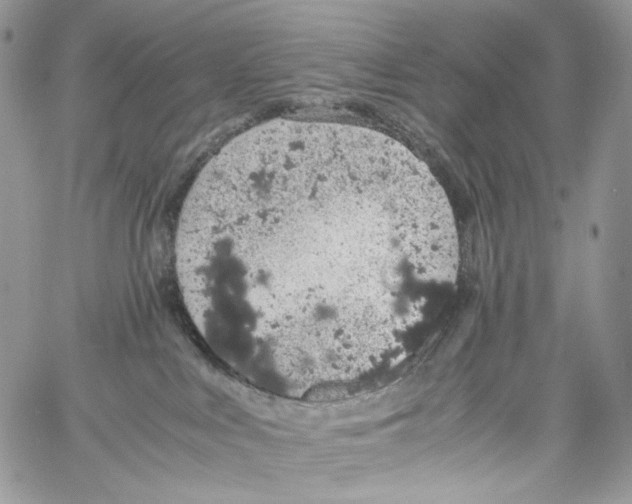 X0000061740043200512302223