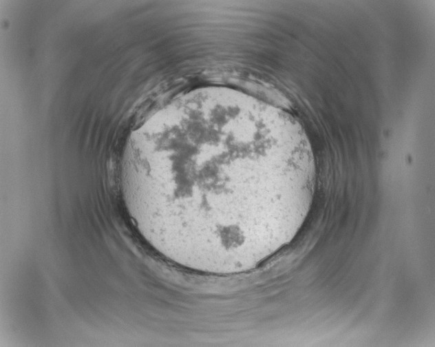 X0000061740044200512302223