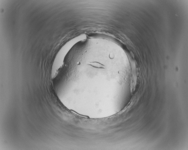 X0000061740045200512302223