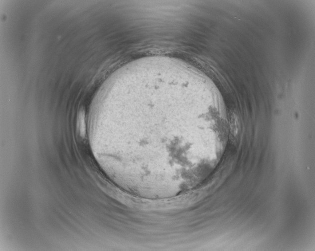 X0000061740046200512302223