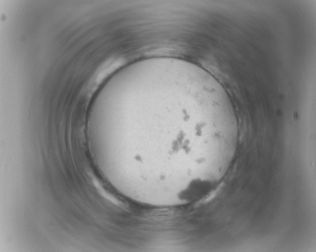 X0000061740050200512302222