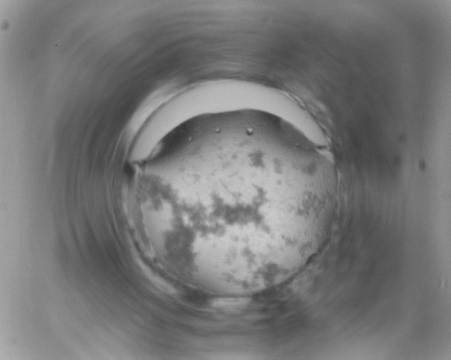 X0000061740051200512302222