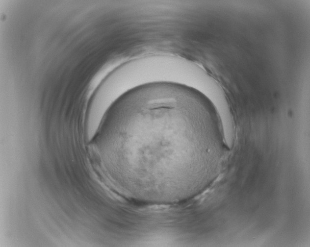 X0000061740052200512302222