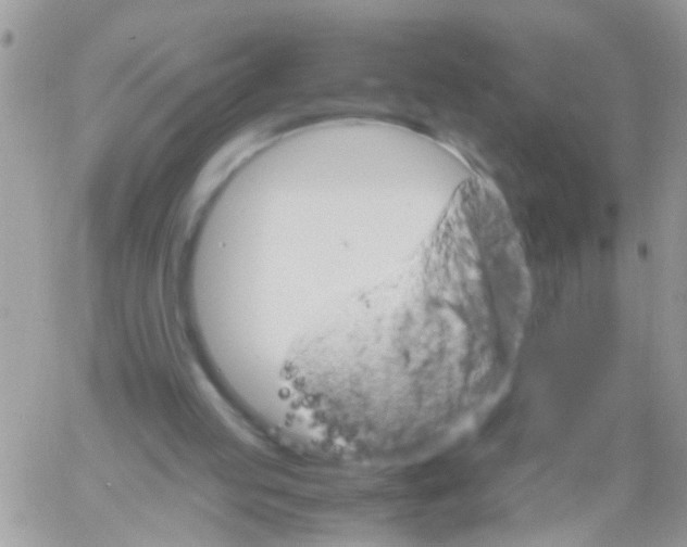 X0000061740053200512302222