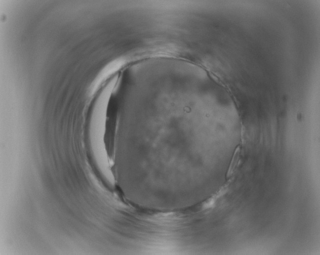 X0000061740054200512302222