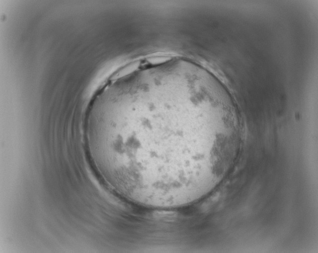 X0000061740055200512302222