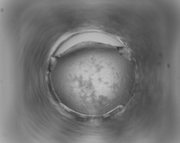 X0000061740056200512302222