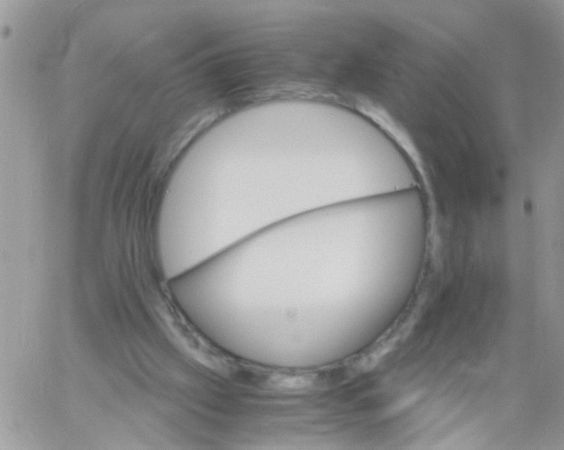 X0000061740057200512302222