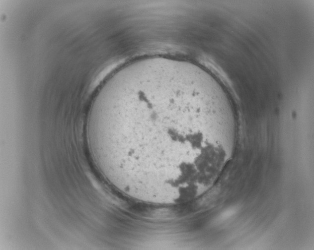 X0000061740058200512302222