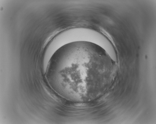 X0000061740059200512302222