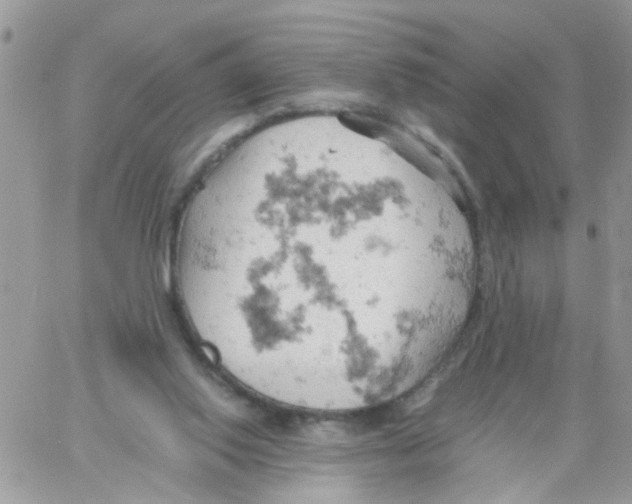 X0000061740062200512302222