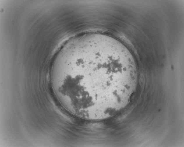 X0000061740063200512302222