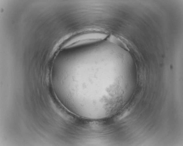 X0000061740064200512302222