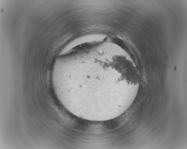 X0000061740066200512302222