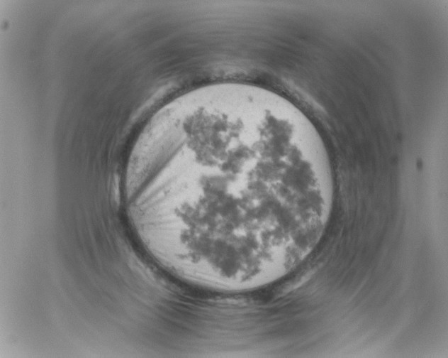 X0000061740067200512302222