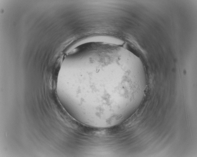 X0000061740068200512302222