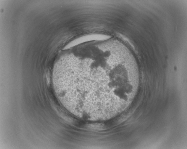 X0000061740069200512302222