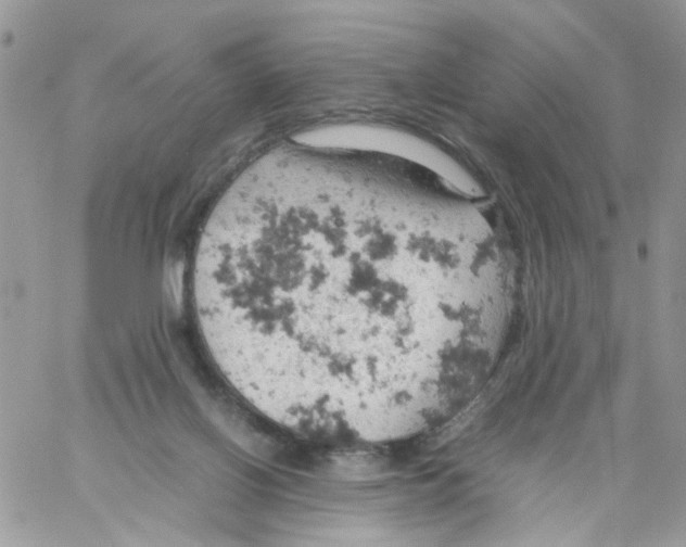 X0000061740070200512302222