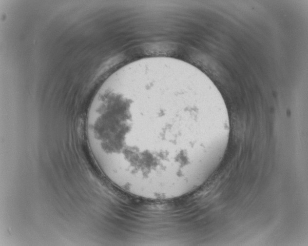 X0000061740071200512302222