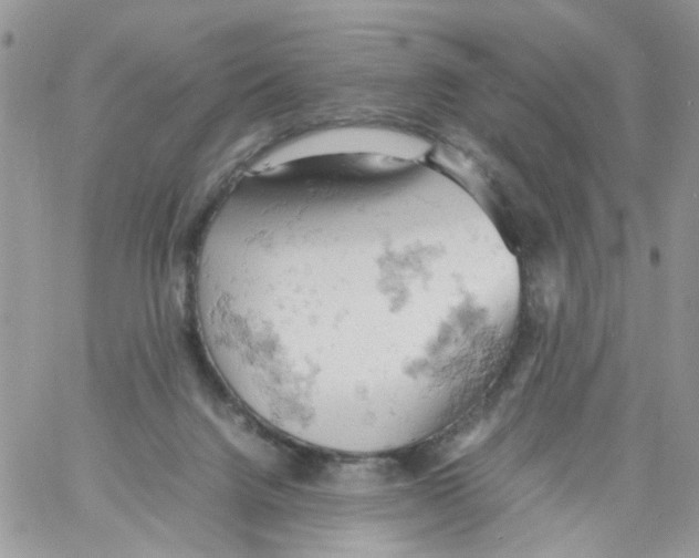 X0000061740072200512302222