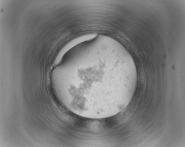 X0000061740074200512302222