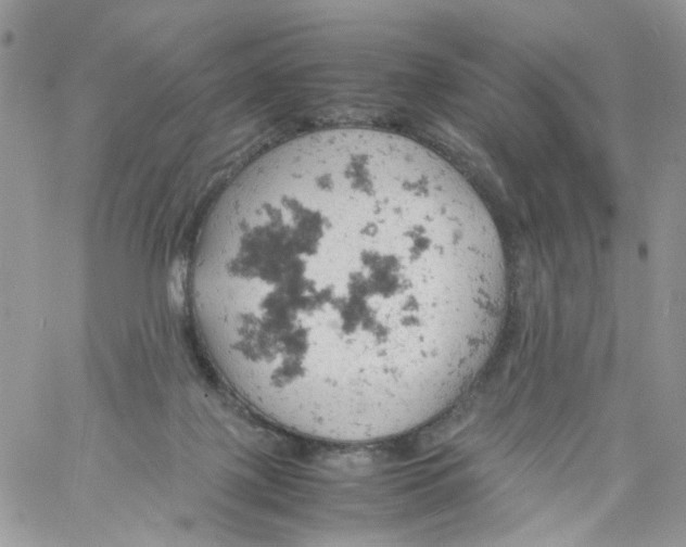 X0000061740075200512302222