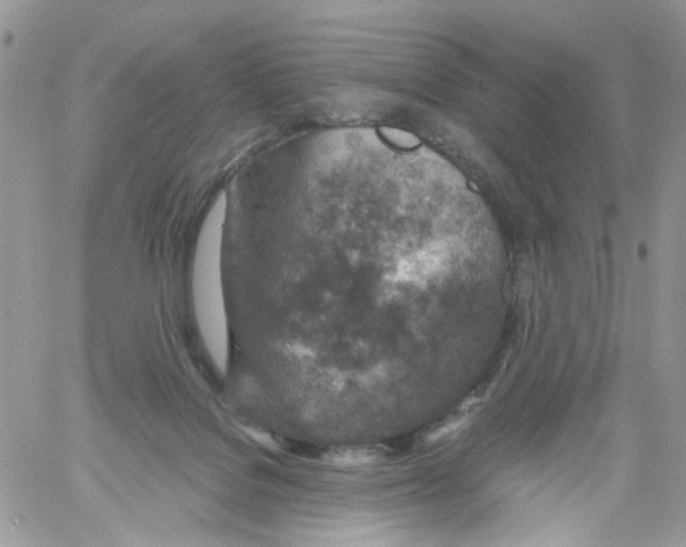 X0000061740076200512302222