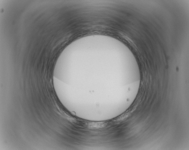 X0000061740077200512302222