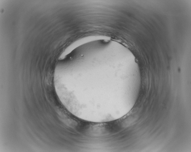 X0000061740078200512302222