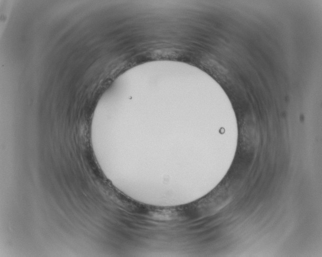 X0000061740079200512302222