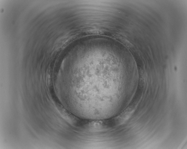 X0000061740080200512302222