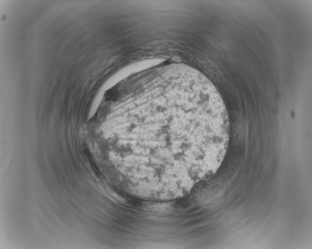 X0000061740081200512302222