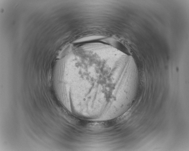 X0000061740082200512302223