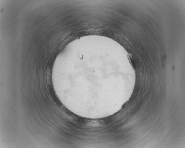 X0000061740083200512302223