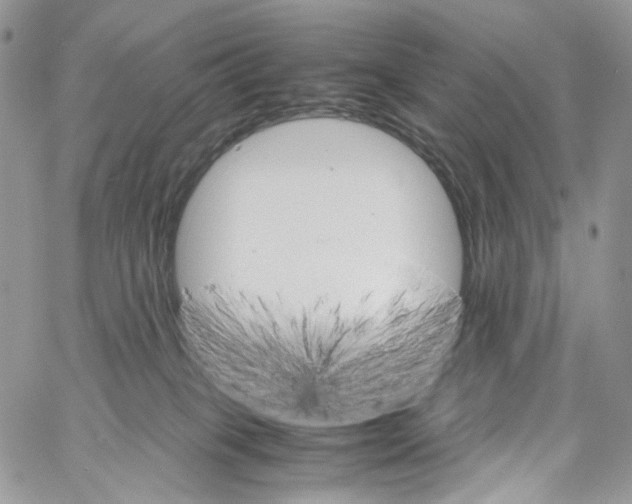 X0000061740085200512302223