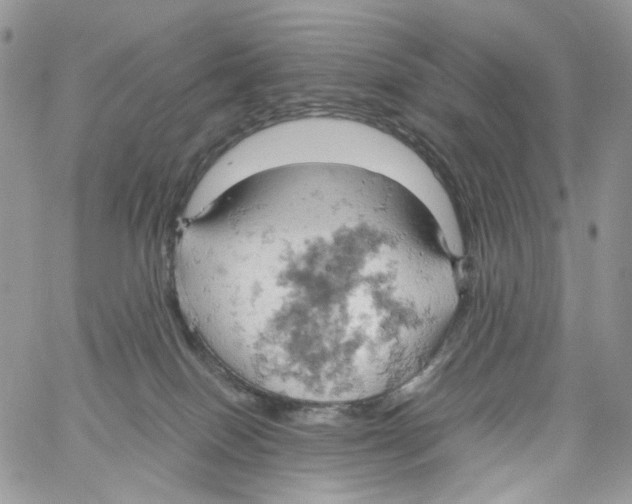 X0000061740086200512302223