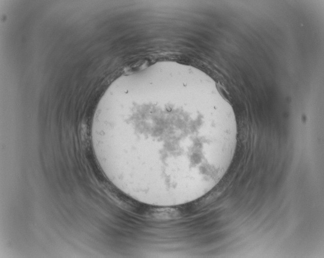 X0000061740087200512302223