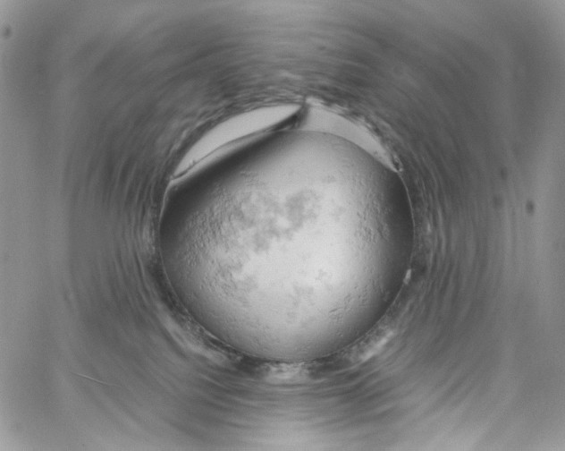 X0000061740088200512302223