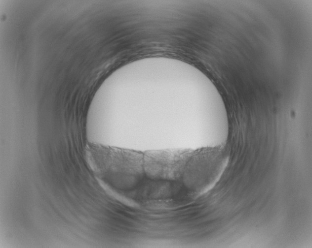 X0000061740089200512302223