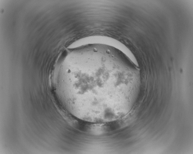 X0000061740090200512302223