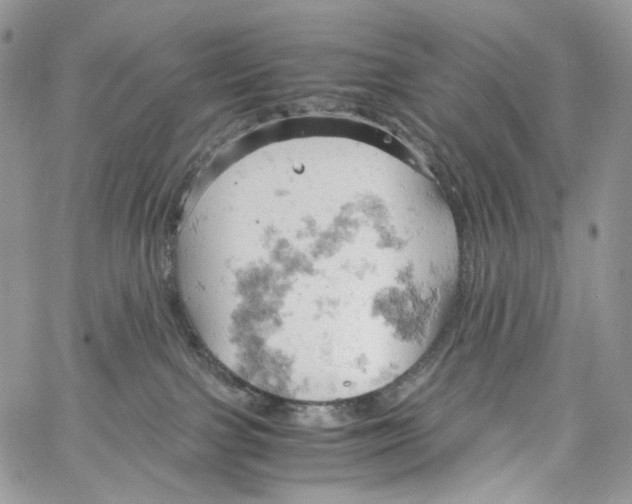 X0000061740091200512302223