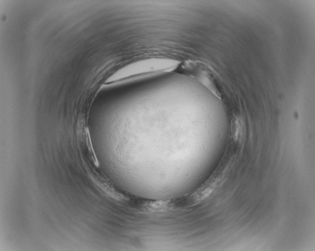 X0000061740092200512302223