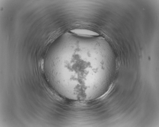 X0000061740094200512302223