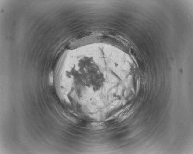 X0000061740095200512302223